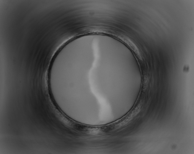 X0000102840798200809081218