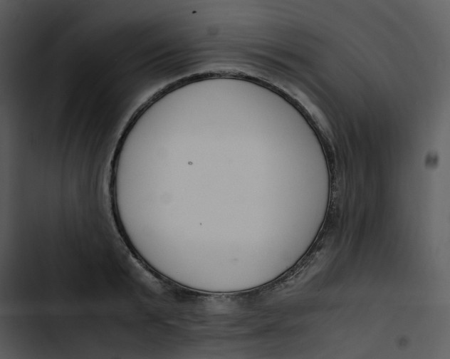 X0000102840799200809081218