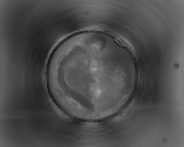 X0000102840800200809081218