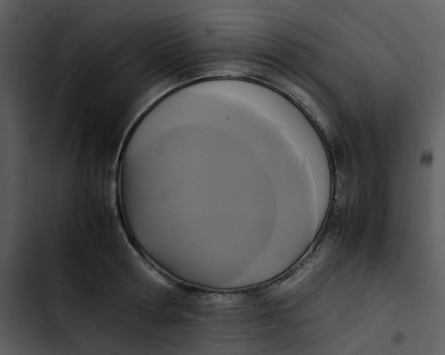 X0000102840802200809081218