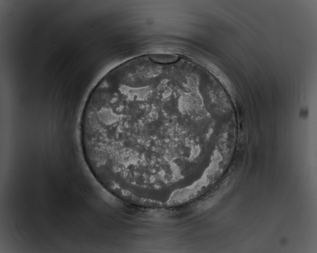 X0000102840803200809081218