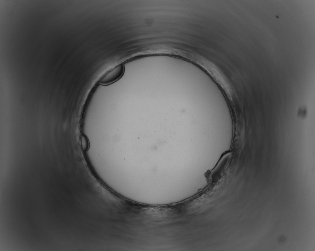 X0000102840805200809081218