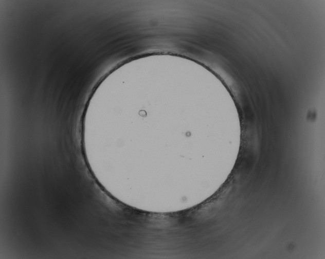 X0000102840807200809081218