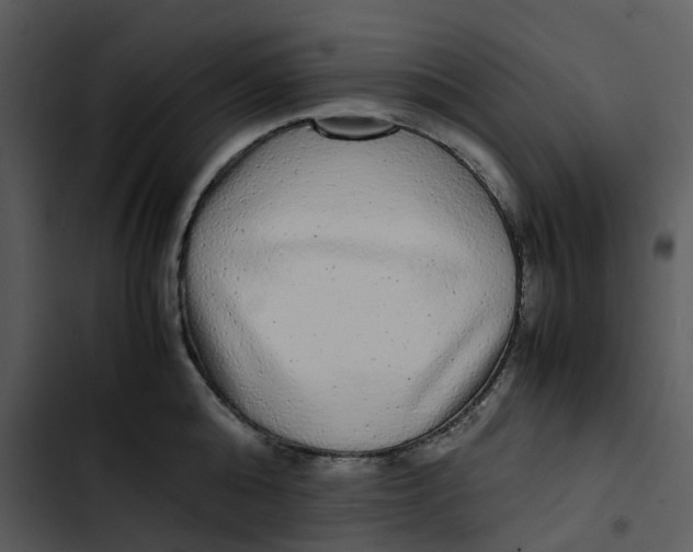 X0000102840808200809081218