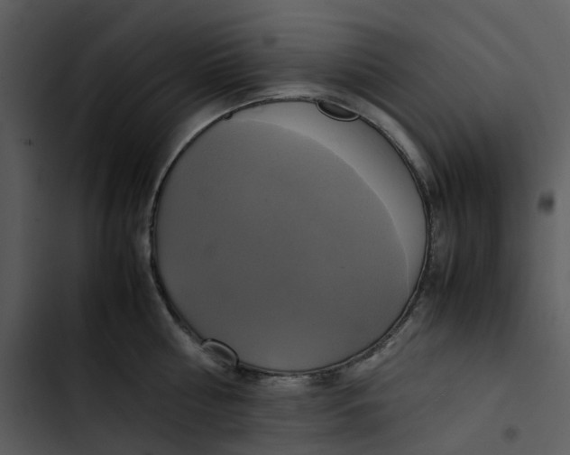 X0000102840810200809081218