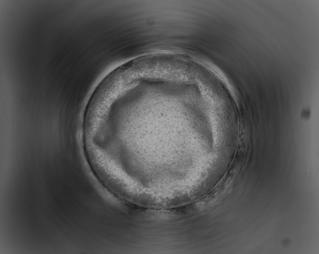 X0000102840811200809081218