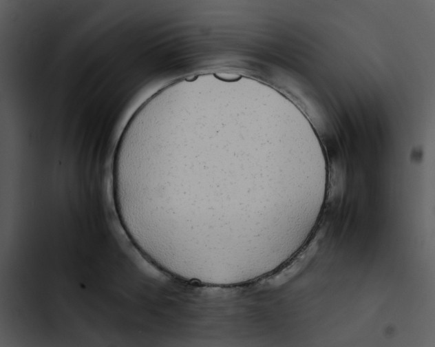 X0000102840812200809081218