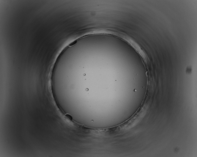 X0000102840813200809081218