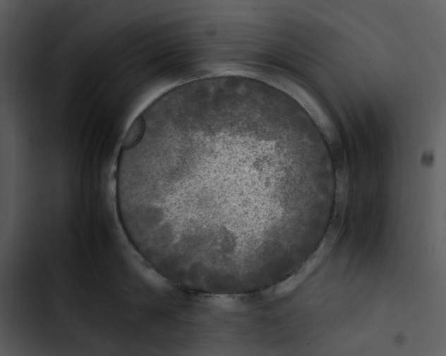 X0000102840814200809081218