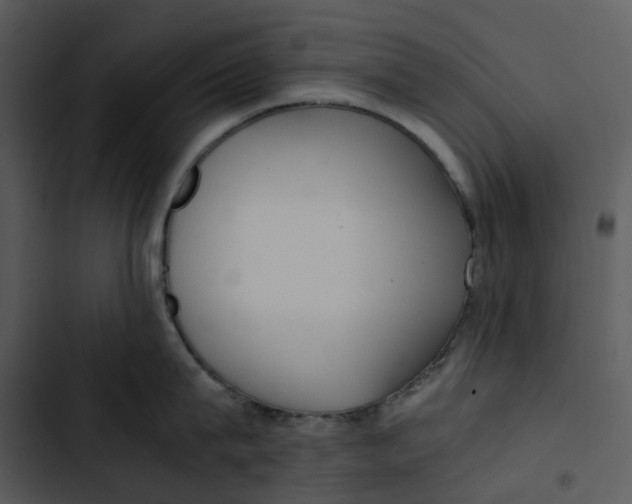 X0000102840815200809081218