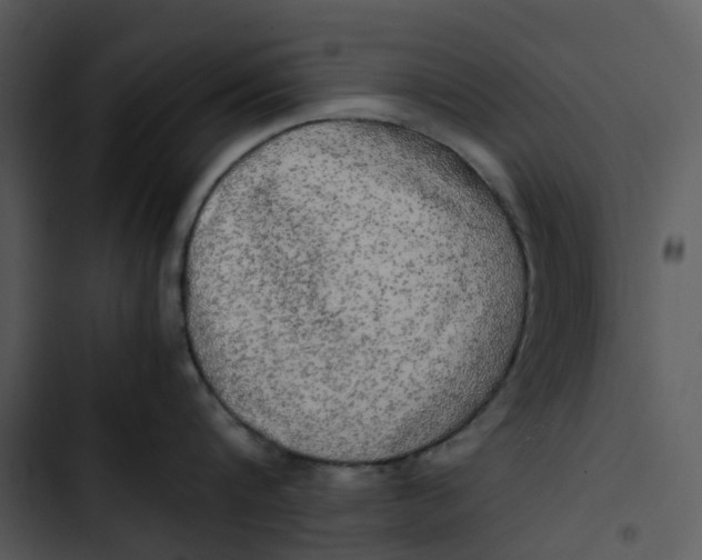 X0000102840816200809081218