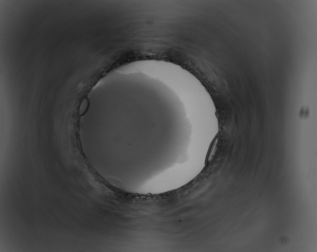 X0000102840817200809081217