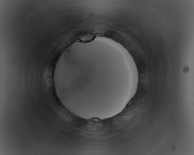 X0000102840818200809081217