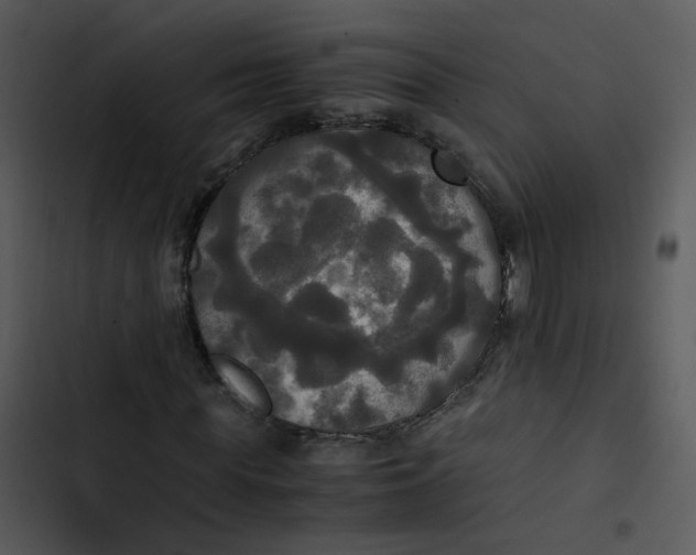 X0000102840819200809081217