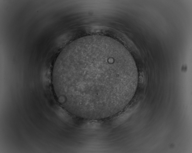 X0000102840820200809081217