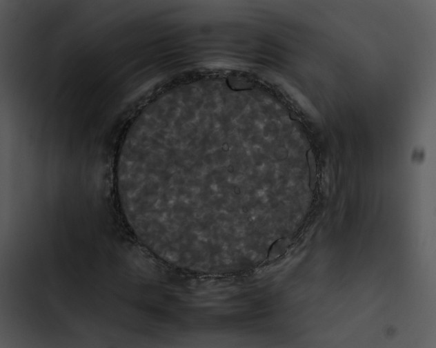 X0000102840821200809081217