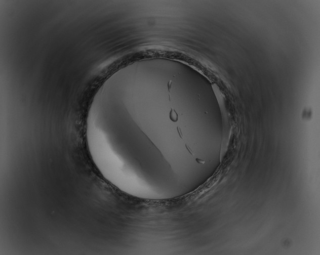 X0000102840822200809081217