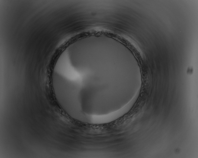 X0000102840823200809081217