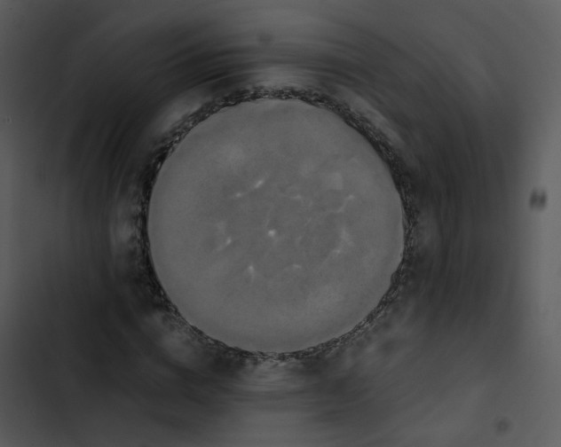 X0000102840824200809081217