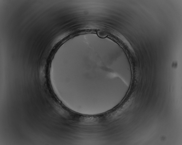 X0000102840826200809081217