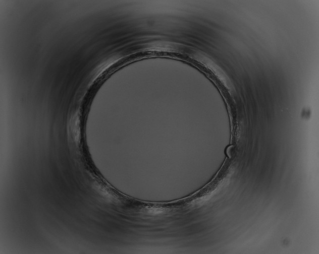 X0000102840829200809081218