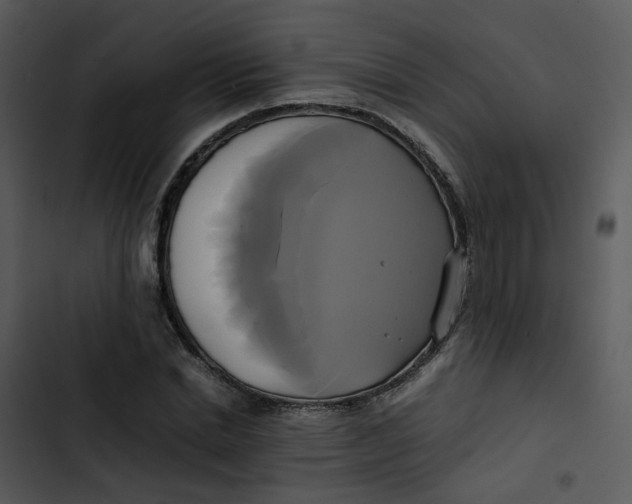 X0000102840830200809081218