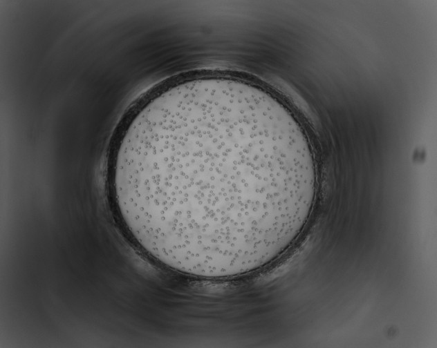 X0000102840831200809081218