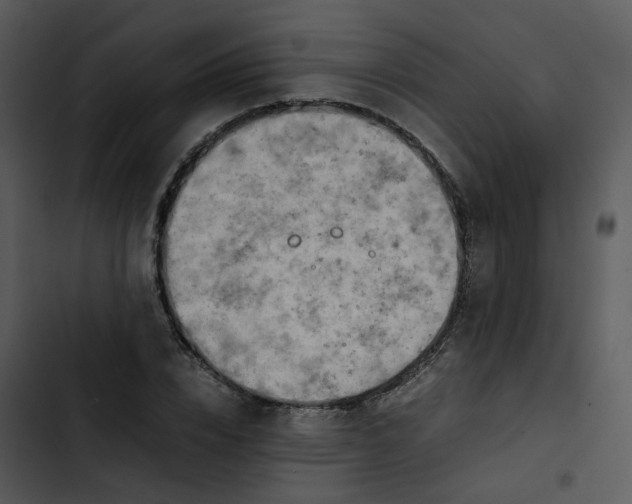 X0000102840832200809081218