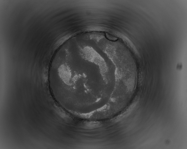 X0000102840833200809081218