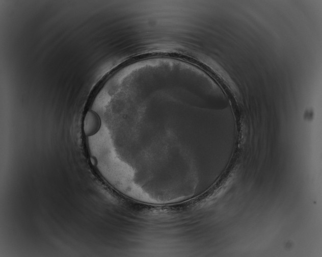 X0000102840834200809081218