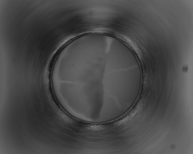 X0000102840835200809081218