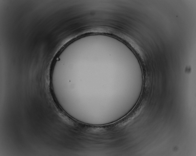 X0000102840837200809081218