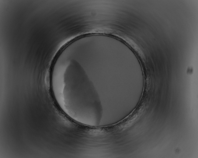 X0000102840838200809081218