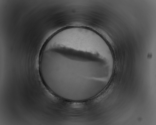 X0000102840839200809081218