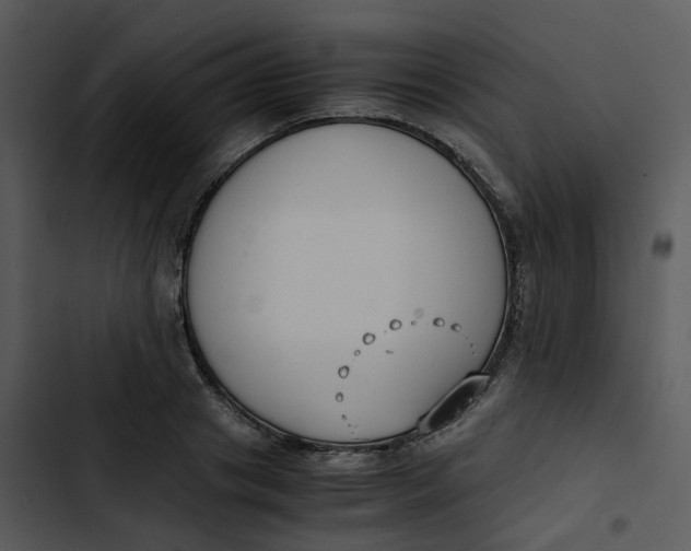 X0000102840841200809081218