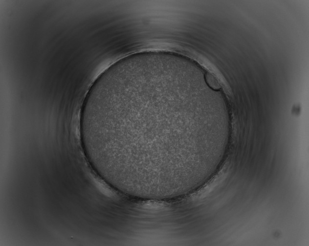 X0000102840842200809081218