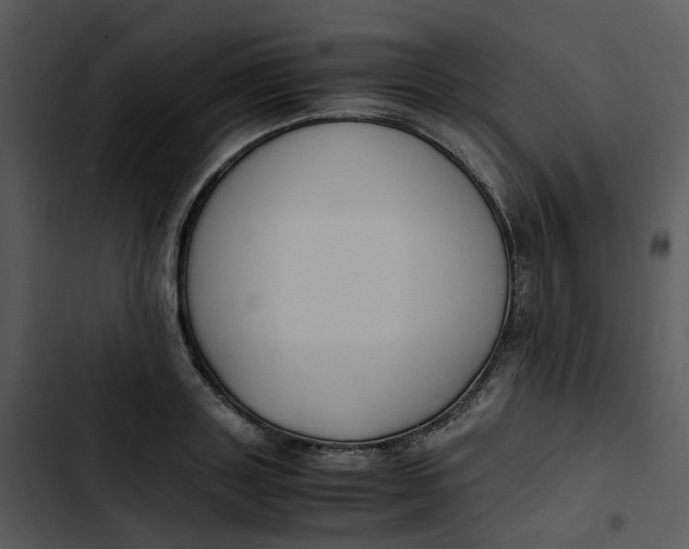 X0000102840843200809081218