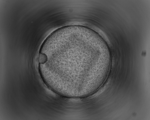 X0000102840844200809081218