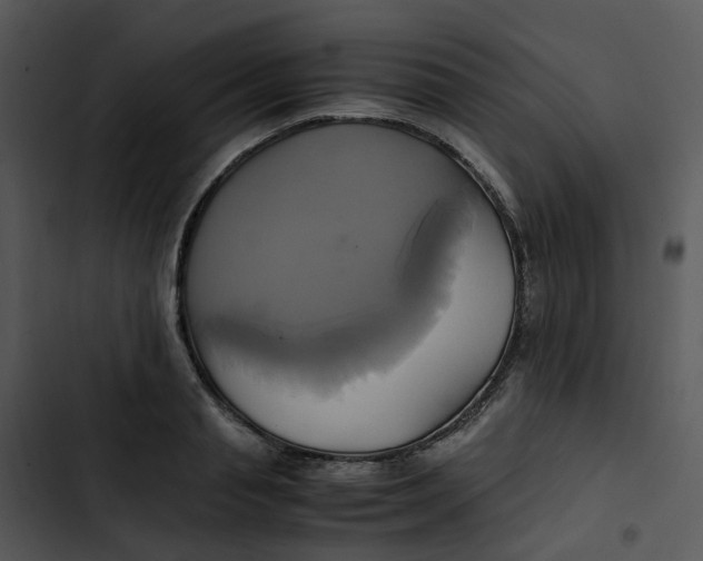 X0000102840845200809081218