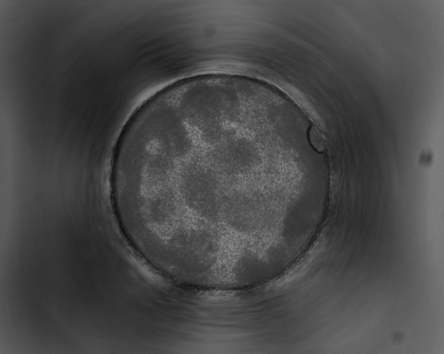 X0000102840846200809081218