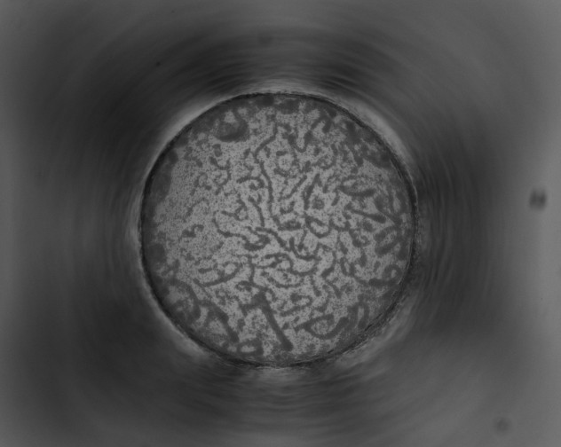 X0000102840847200809081218