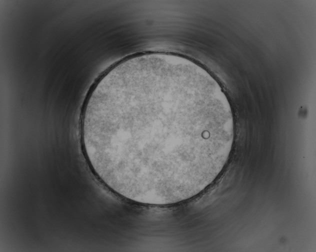 X0000102840848200809081218