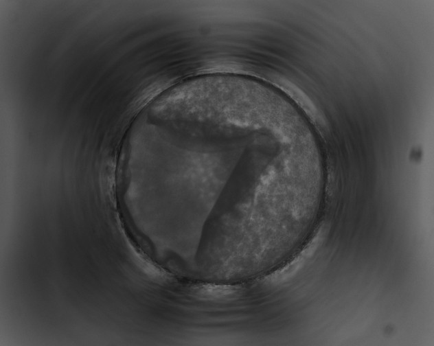 X0000102840849200809081218