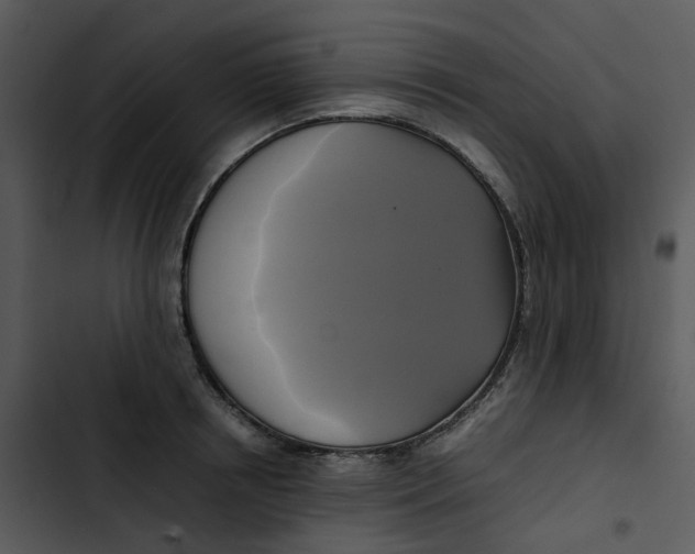 X0000102840850200809081218