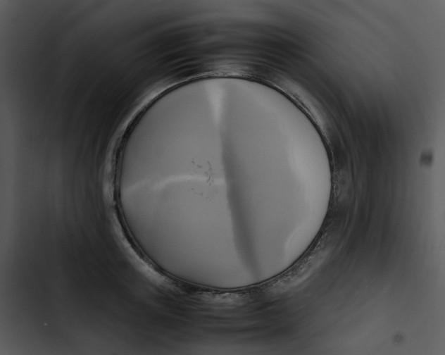 X0000102840851200809081218