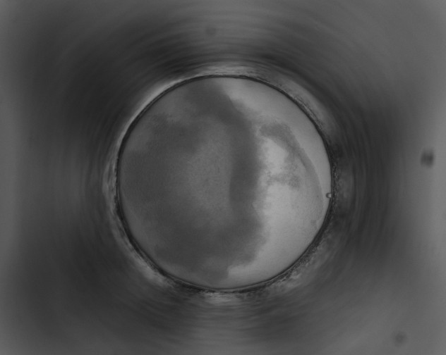 X0000102840852200809081218