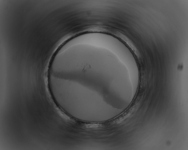 X0000102840853200809081218