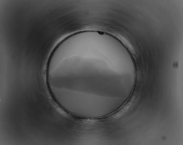 X0000102840854200809081218