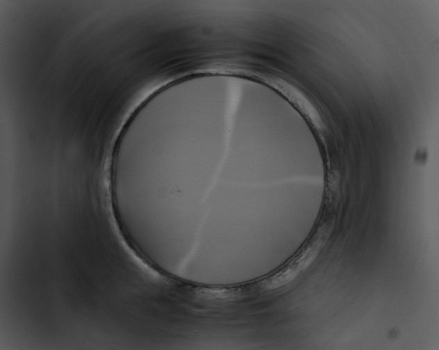 X0000102840855200809081218