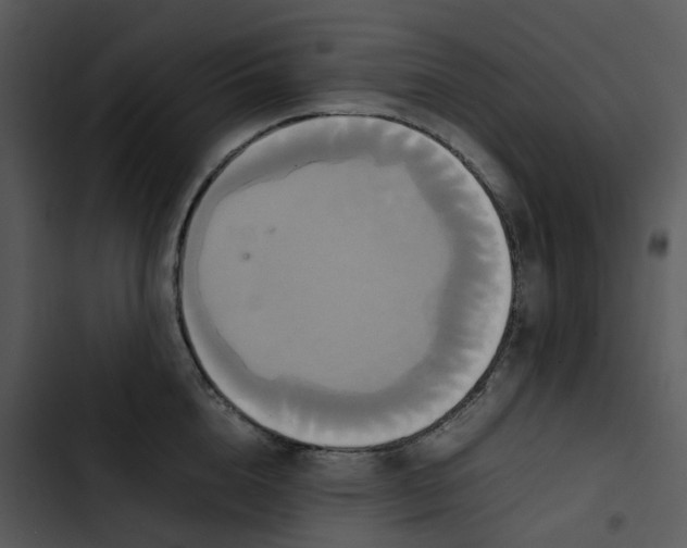 X0000102840856200809081218